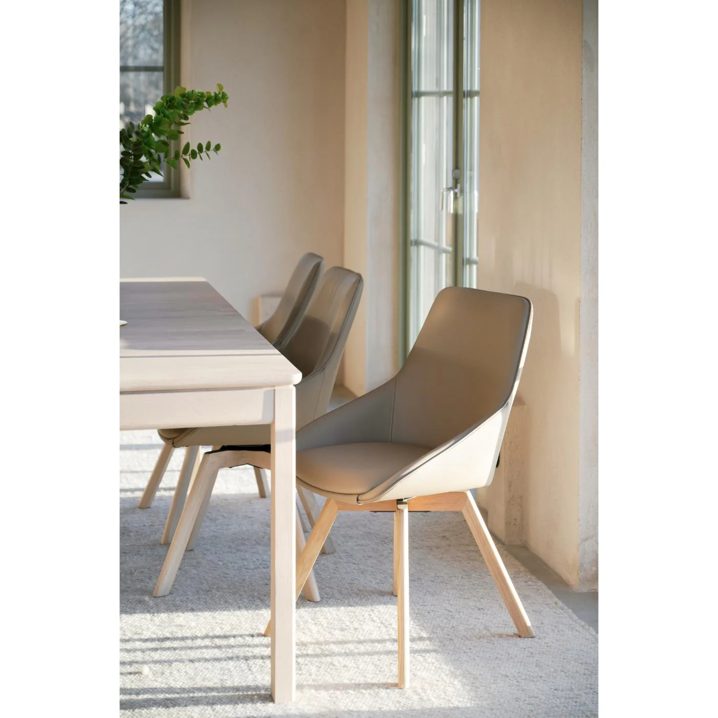 Alison tuoli valkolakattu tammijalka / beige nahka - Image 10